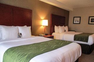 Comfort Inn Dartmouth - 1