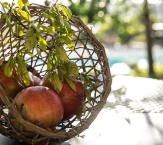 Amore Rentals - Villa Amiela - SantʼAgata sui Due Golfi - 5