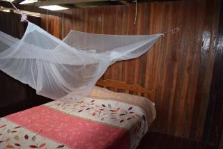 Casa Hospedaje Tingomaria - Tingo María - 4