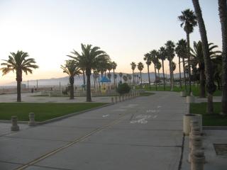 Venice Beach Gem - Los Angeles - 1