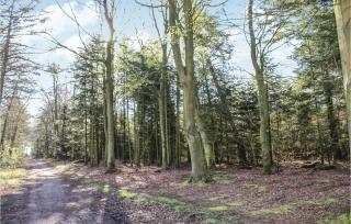 Studio Apartment In Logumkloster - 1