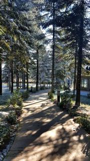 Bolu Koru Hotels Spa & Convention - Yolcatı - 7