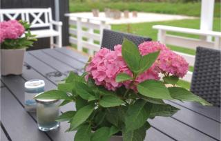 Holiday Home Solbærvangen V - Ovtrup - 2