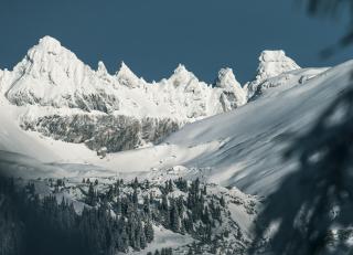 Edelweiss Haus Collina - Flims - 7