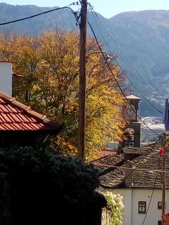 To Patriko Tou Saranti - Metsovo - 5