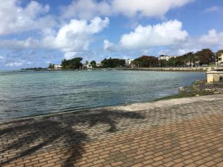 Villa Les Aigrettes - 4