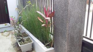 Citra Homestay - Batu - 4