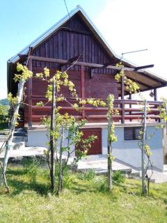 Jana - Bukovac - 5