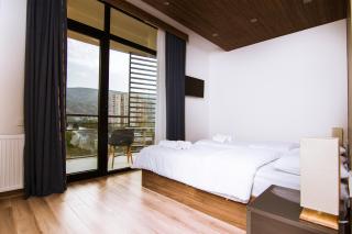 Victoria Inn Tbilisi - Tbilisi - 5