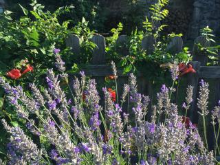 Gites de Gobertier - 9