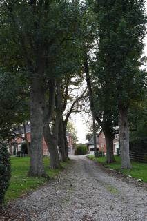 Woodleighton Cottages - Uttoxeter - 9