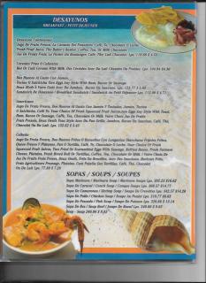 La Delphina Bed and Breakfast Bar and Grill - La Ceiba - 3