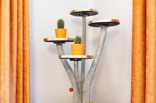 Sixties Appartement - Graz - 3