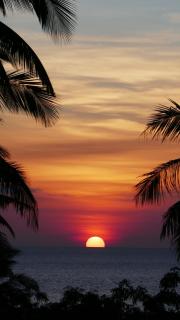 Marind Dive Eco Resort - Waha - 6