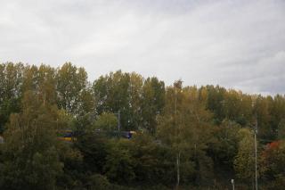 B&B Mondriaan - 8