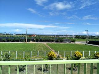 Jia Yuan Homestay - Città di Taitung - 8