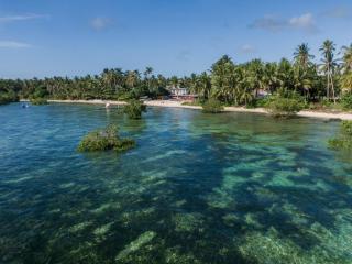 Reef Beach Resort - 3