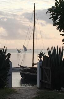 Villa Matalai - Tanga - 9