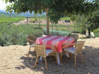 Holiday Home in Saint-Antonin-du-Var - Saint Antonin du Var - 2