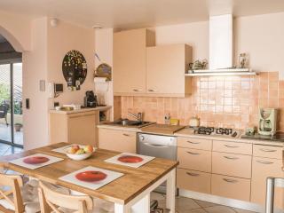 Spacious villa with private pool and sauna - Saint-André-de-Roquelongue - 1