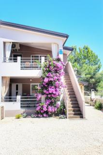 Apartment Marijana - Vir - 0