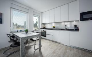 SOFIA house with apartment - 1