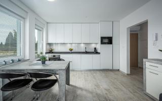 SOFIA house with apartment - 2