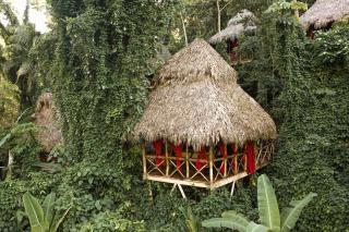 Dominican Tree House Village - El Valle - 3