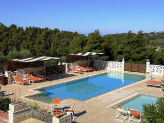 Aracelia villas with private pool - Siviri - 7