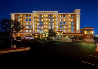 Best Western Plus Waltham Boston - Waltham - 8