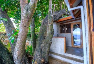 Savasi Island Resort - Savusavu - 3