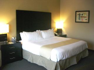 Holiday Inn St. Paul Northeast - Lake Elmo by IHG - Lake Elmo - 4