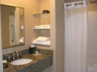 Holiday Inn St. Paul Northeast - Lake Elmo by IHG - 6