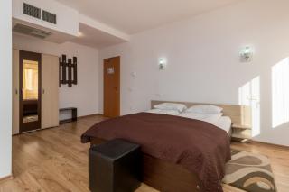 Vila Izvor - Baile Felix - 2