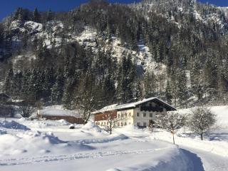 Alpaka-Hof Landinger - 1