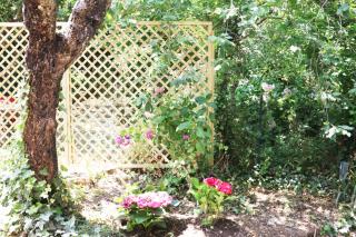 Casa vacanze il Giardino - Appartamento Ciliegio - 8