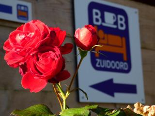 BenB Zuidoord - Zuidland - 1