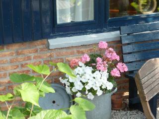 Huis De Roos - De Kwakel - 8