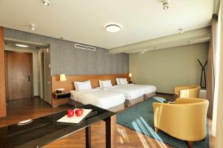 Golden Palace Hotel - Tbilisi - 7