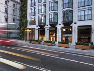 The Athenaeum Hotel & Residences - Londra - 0