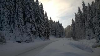 Planinska kuća MAK - Jahorina - 8