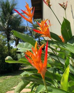 Chales Maresias - 1