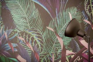 Jungle Suite by the seaside - 6