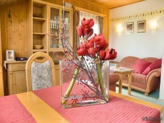 Pension Landhaus Riedelstein - Drachselsried - 5