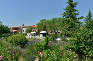 Kuća za odmor Božac Vodnjan - 1