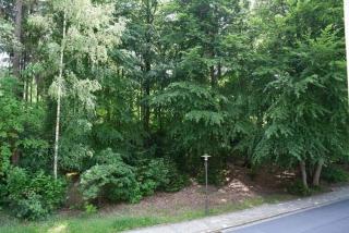 Hotel Berggasthof Waldlust - Wunsiedel - 9