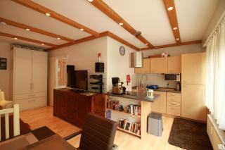 App 622 Panoramic Hohegeiß mit WLan Terrassenhaus - Braunlage - 5