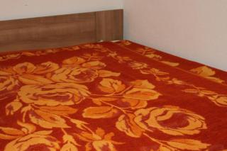 Apartment Zubovici 6394d - 1