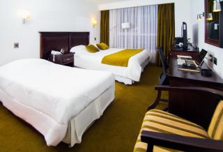 Hotel Terrano Concepción - Concepción - 5