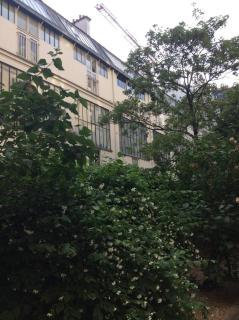 Luxembourg Montparnasse - Paris - 8